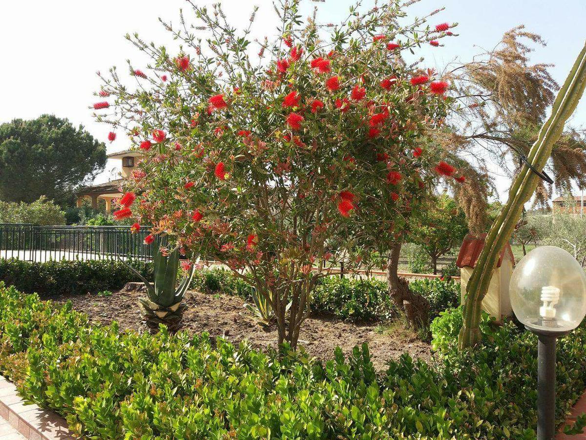 Campobello di Licata Villa Milici المظهر الخارجي الصورة